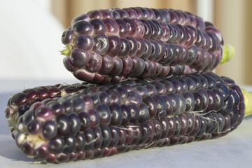 Corn Pile