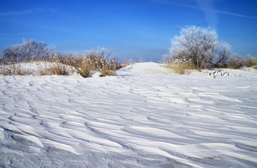Winter landscape with reeds, trees, and frozen river