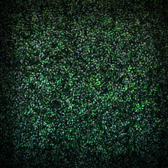 Close up of turf texture for background.