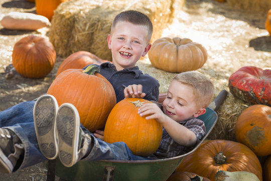 Two Little Boys Playing in Wheelbarrow at the Pumpkin Patch