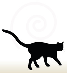 illustration of cat silhouette