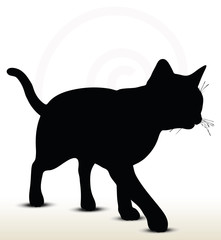 illustration of cat silhouette