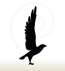 eagle silhouette