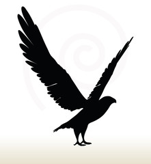 eagle silhouette