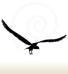 eagle silhouette