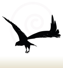 eagle silhouette