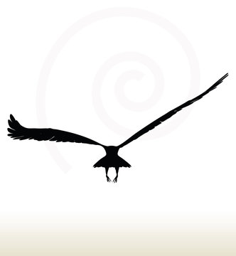 recommend clip art: eagle silhouette