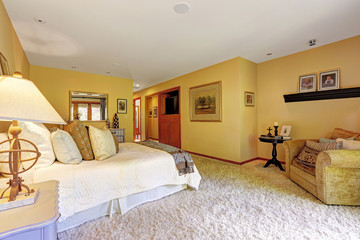 Very cozy master bedroom interior
