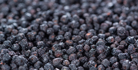 Chokeberries Background