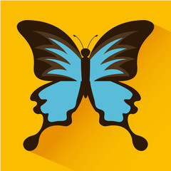 butterfly design
