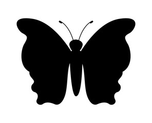 butterfly design