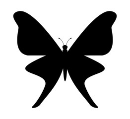 butterfly design