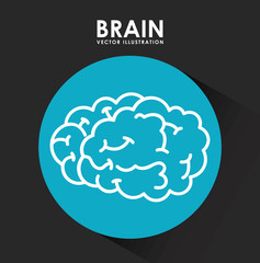 brain design
