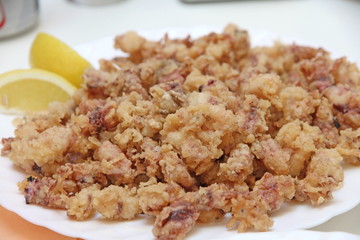Fried baby squids on plate