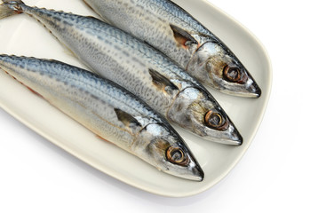 Fresh fish Mackerel, tuna, saba, in white plate
