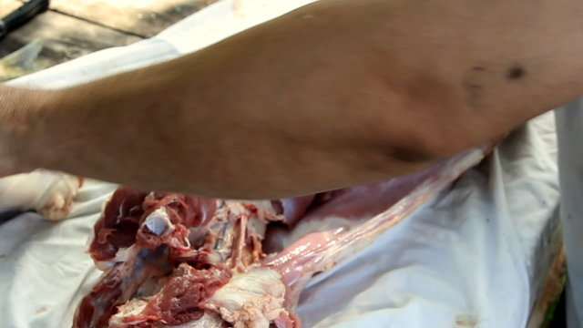 Butcher cutting back part of lamb on the table
