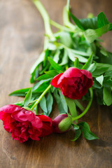 red flowers on a wooden background