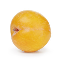 single yellow plum