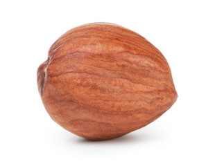 single hazelnut kernel