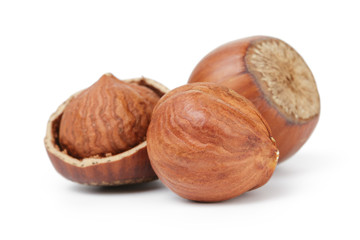 organic hazelknuts with kernel