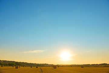 Fototapeta premium rolls