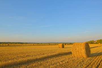 Fototapeta premium rolls