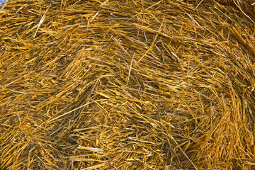 straw