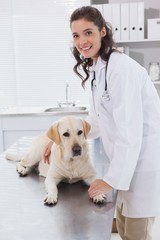 Smiling vet examining a dog