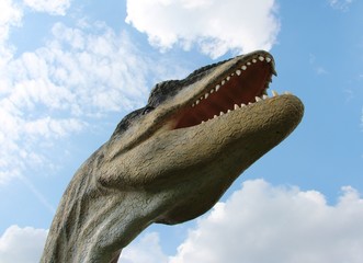 Kopf eines Dinosauriers