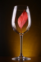 Red leaf in a glass