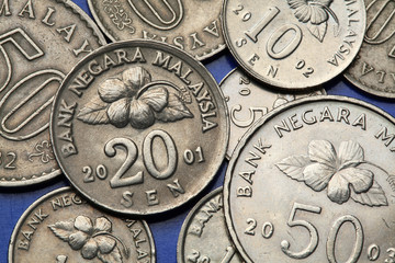 Coins of Malaysia © Vladimir Wrangel