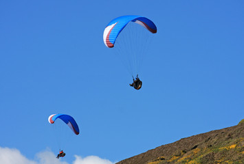 paragliders over Rhossili