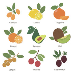Fruits and berries
