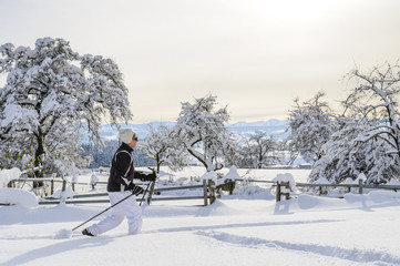 Winter im Westallgäu