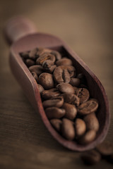 Coffee beans on a wooden scoop