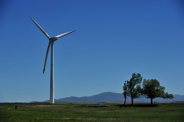 Fototapeta premium Wind power