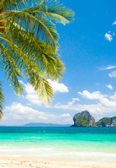 Fototapeta na wymiar Exotic Paradise Coconut Getaway