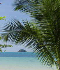 Coconut Coast Jungle Lagoon