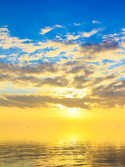 Fototapeta premium Horizon Wallpaper Dusk