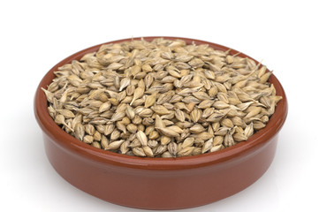 Gerstenaehren; Gerstenkoerner; Gerste;