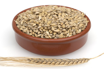 Gerstenaehren; Gerstenkoerner; Gerste;