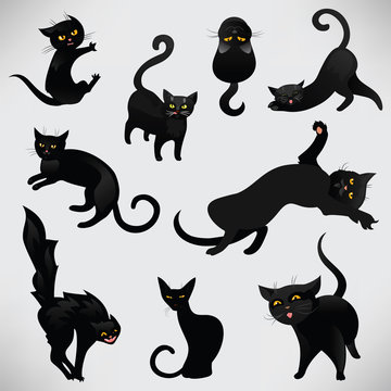 Set of black cats