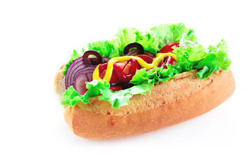 hot dog over white background