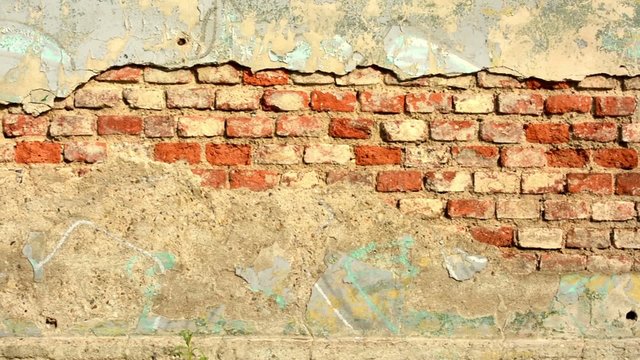 wall peeled - sunlight