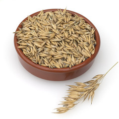 Hafer; Avena, sativa; Haferkorn;