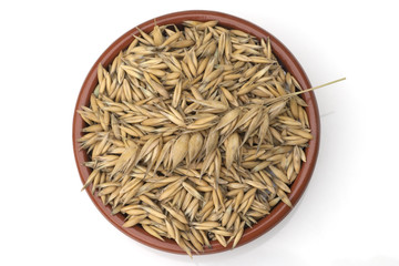 Hafer; Avena, sativa; Haferkorn;