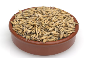 Hafer; Avena, sativa; Haferkorn;