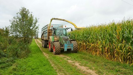 Maisernte mit Traktor