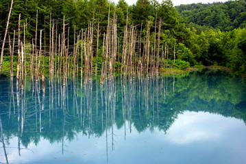 青い池