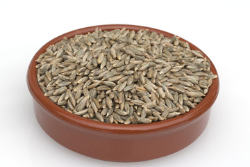 Roggenaehre; Roggen; Roggenaehren; Secale; Cereale;